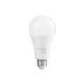 Lámpara de LED tipo bulbo A22 16 W, luz de día, caja, Basic